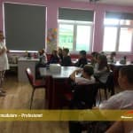 Projektet modulare – Profesionet