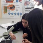 PUNË PRAKTIKE NË ORËN E BIOLOGJISË