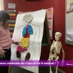 Si të ushqehemi shëndetshëm dhe të kemi një trup të shëndoshë ?