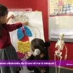 Si të ushqehemi shëndetshëm dhe të kemi një trup të shëndoshë ?