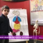 Si të ushqehemi shëndetshëm dhe të kemi një trup të shëndoshë ?