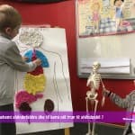 Si të ushqehemi shëndetshëm dhe të kemi një trup të shëndoshë ?