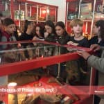 Vizitë mësimore në Prekaz dhe Trepçë