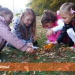 Vizitë në Parkun e Gërmisë