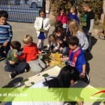 Vjeshta në mesin tonë 